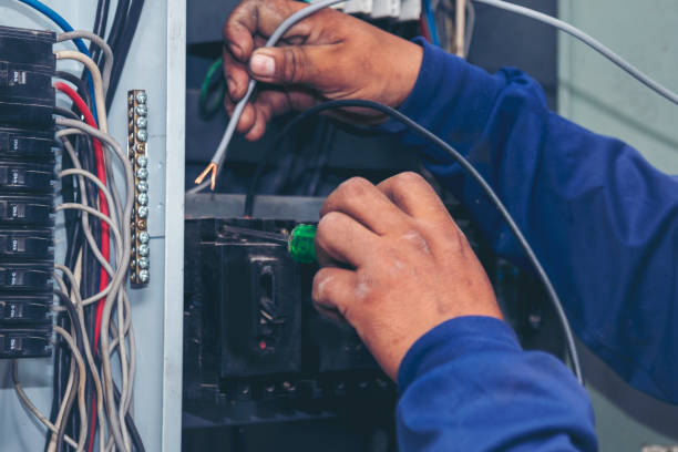 Best Licensed Electrician  in Elton, LA